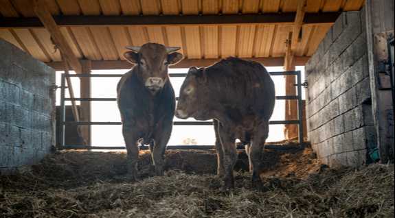 🤝 2 associés pour prendre la relève de Guy, Paul et Loïc sur les différents ateliers de la ferme !