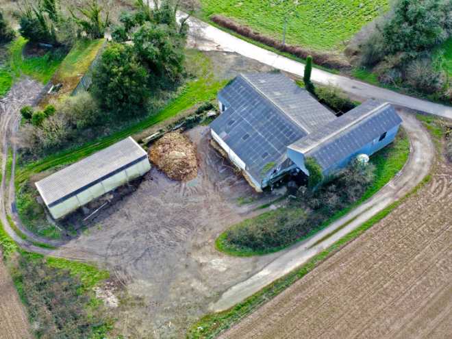 Ferme en bovins allaitant en Bretagne