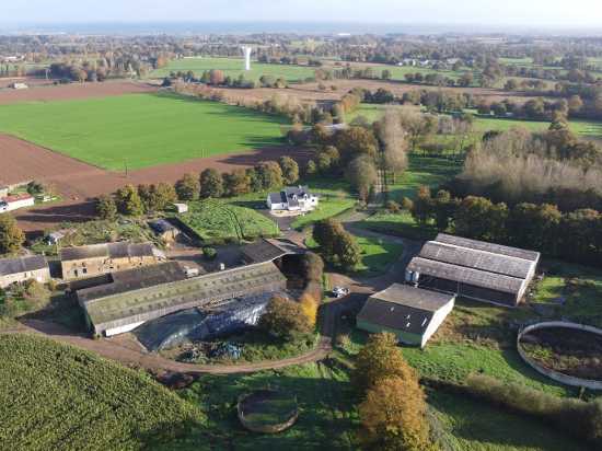 Exploitation laitière à vendre à Cardroc