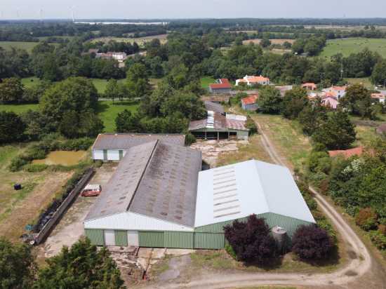 Ferme en vaches laitières avec système herbager à vendre en Loire-Atlantique (La Limouzinière)