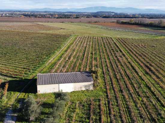 Domaine viticole à vendre en Vallée du Rhône méridionale (Rochegude et Bollène)