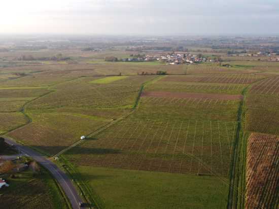Domaine viticole en bio, à vendre à Vallet